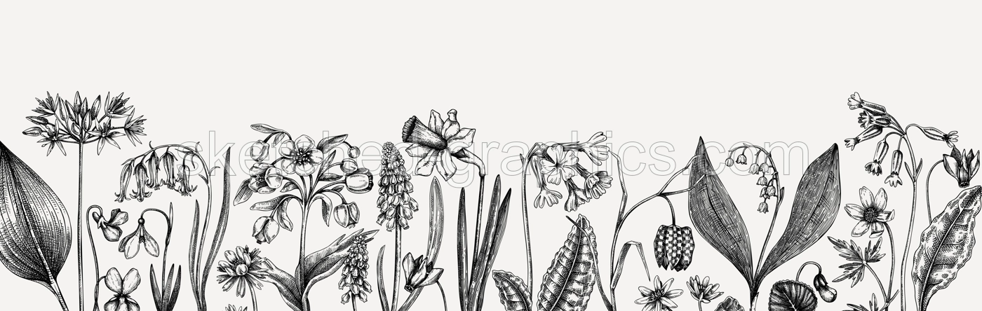 Horizontal vintage banner with wildflowers sketches. Floral backdrop in engraved style. Delicate contoured blooming flowers and leaves border. Spring woodland or garden botanical vector background Illustration